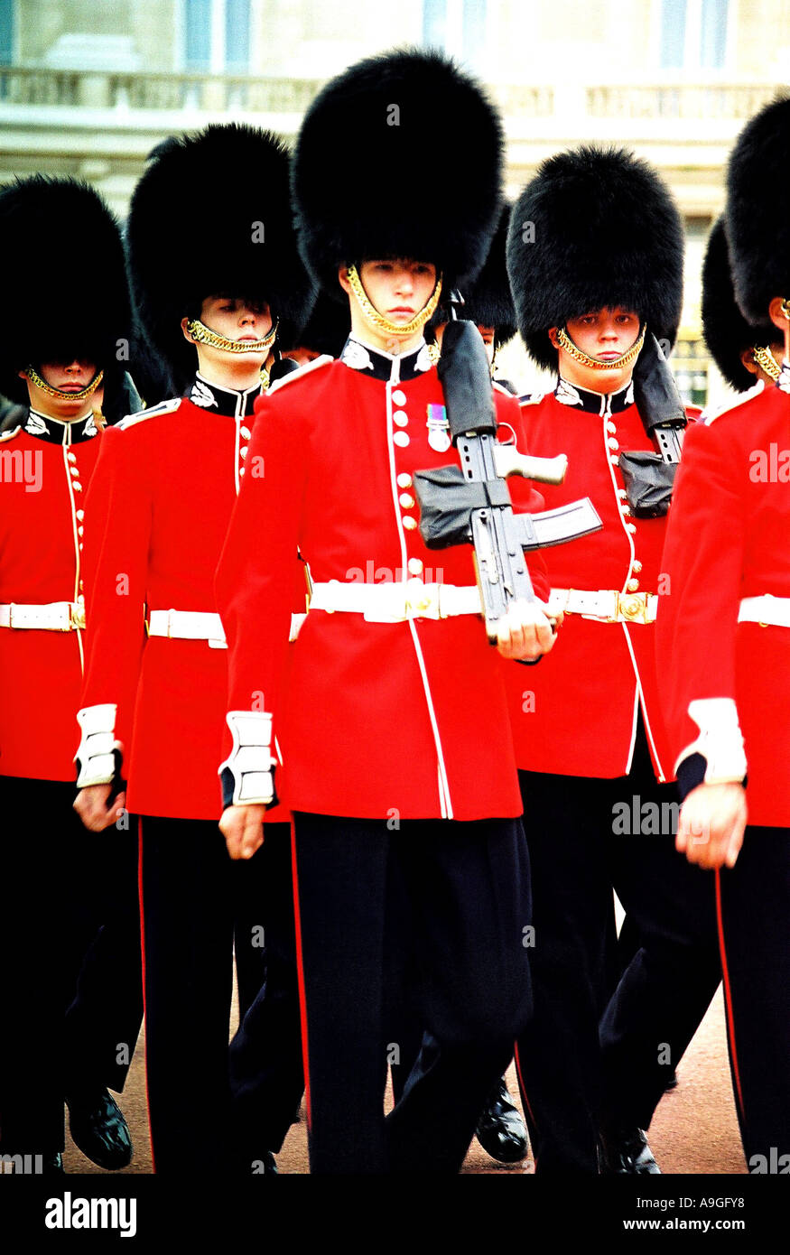 Royal Guards, marching in front of the Buckingham Palace, Changing of the Guards Militaer, Parade, Waffen, Gewehr, Reihenfolge, Stock Photo