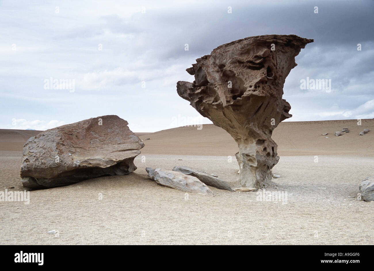 volcanic rock formation on the Bolivian Altiplano, Bolivia, Altiplano ...