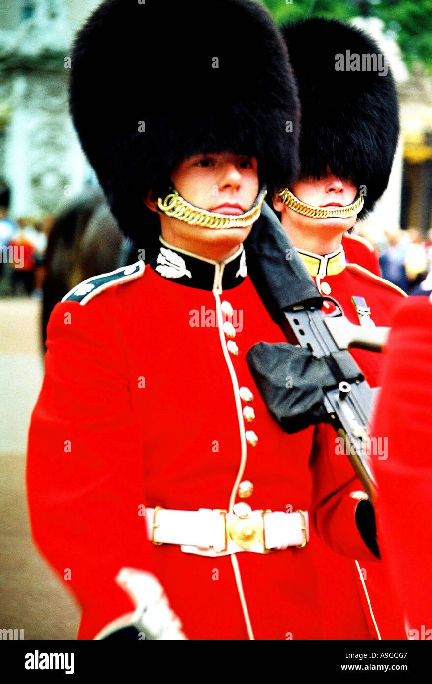 Royal Guards at Buckingham Palace, military parade Militaer, Parade, Waffen, Gewehr Stock Photo
