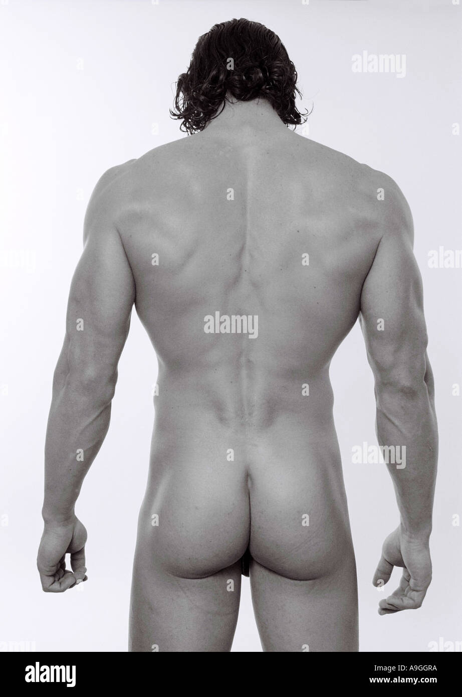 people, human beings, humans (Homo sapiens sapiens), muscular man, nude, rear view Stock Photo