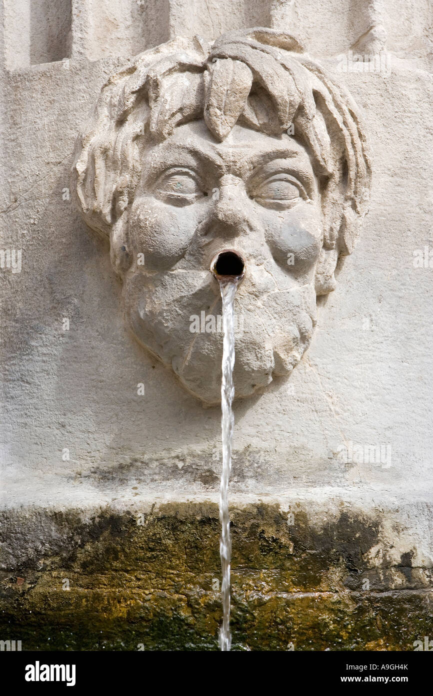 Water fountain gargoyle Reggio nell Emilia Emilia Romagna Italy Stock Photo