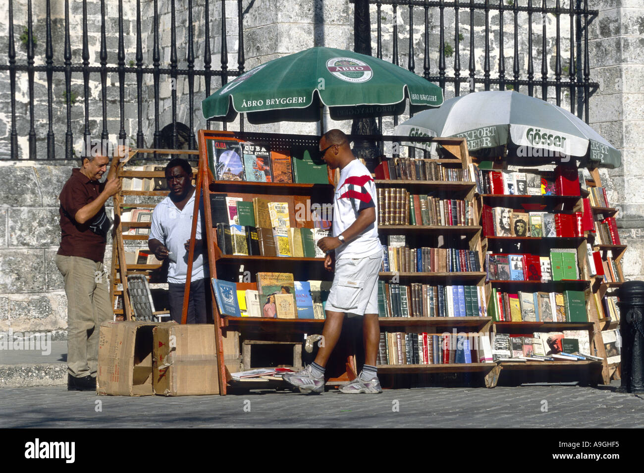 bookshop. Stock Photo