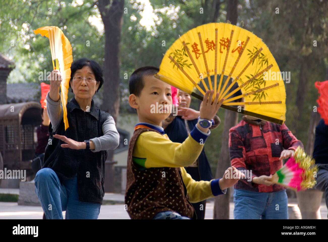 Young boy learning old traditions in park at Xian's Small Wild Goose Pagoda (Xiaoyan Ta), China Stock Photo