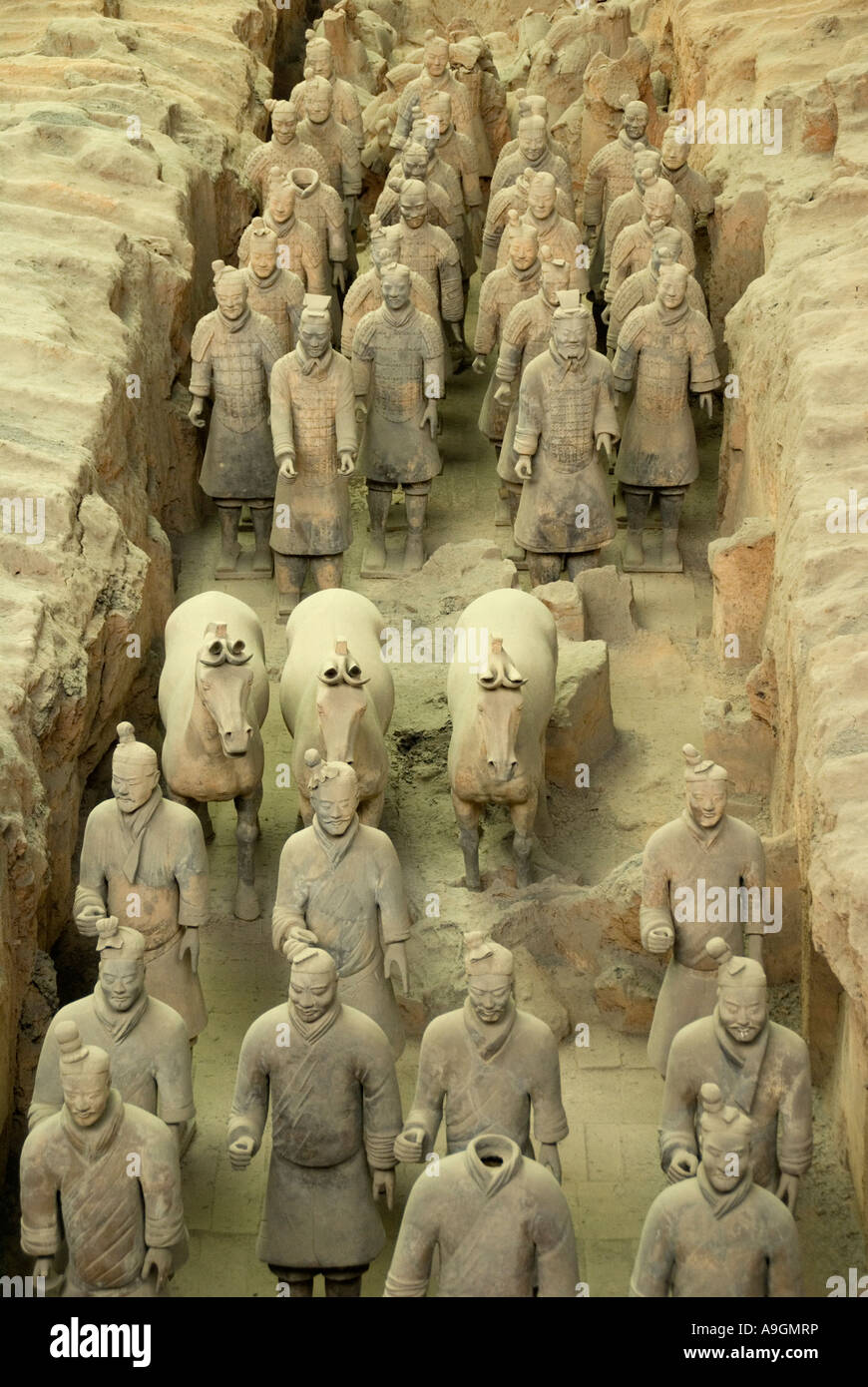 Xian's terra cotta army in Qin Shihuangdi Museum pit number 1 Stock Photo