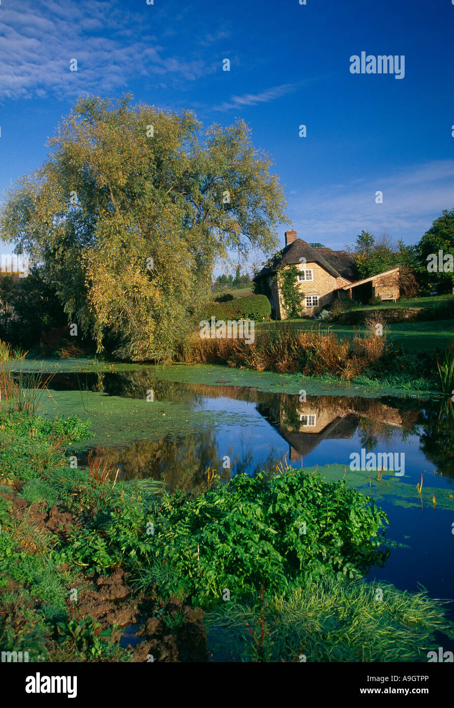 a cottage by the River Stour near Sturminster Newton Dorset England UK Stock Photo