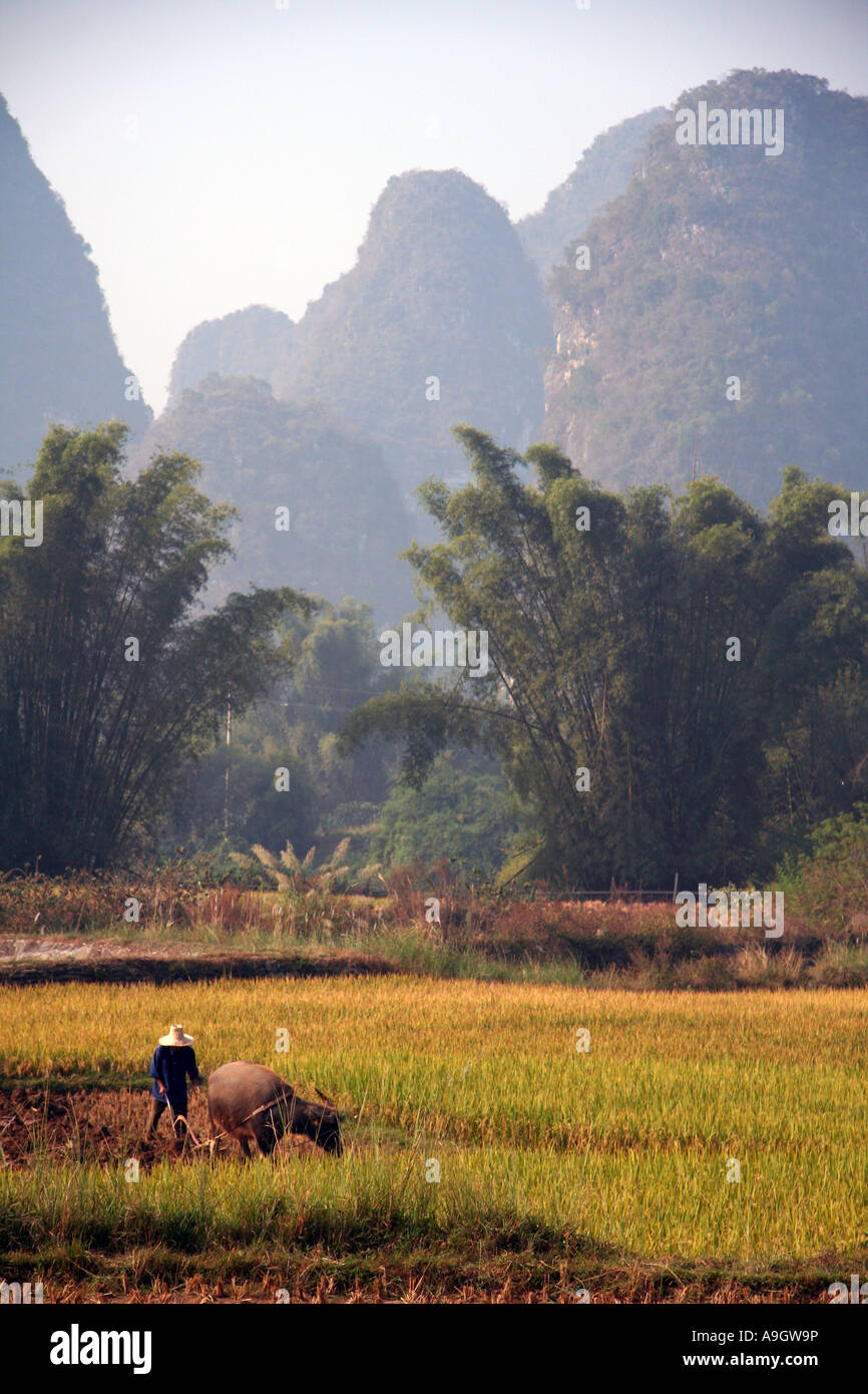 Farming methods china hi-res stock photography and images - Alamy