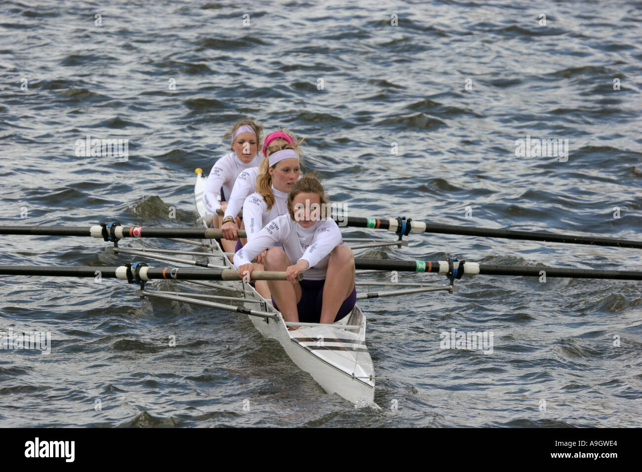 Two Cities Boat Race The University of Manchester and The University of Salford held at Salford Quays May 8 2005 UK Stock Photo