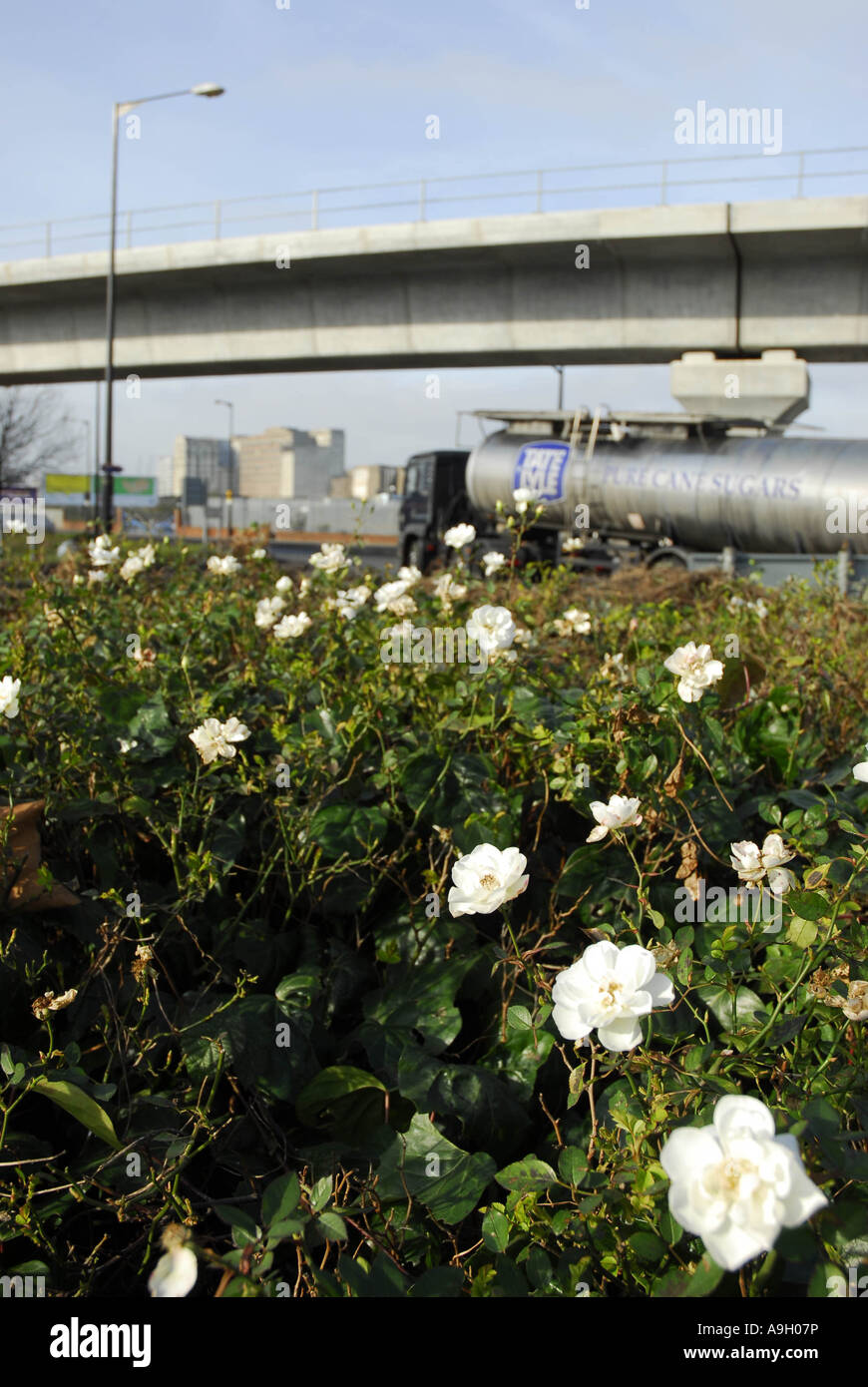 Set aside hi-res stock photography and images - Alamy