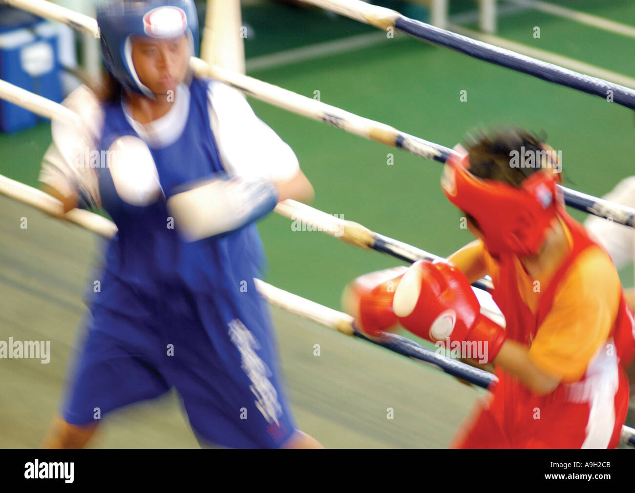 Boxing ring arena stadium fighting hires stock photography and images Alamy