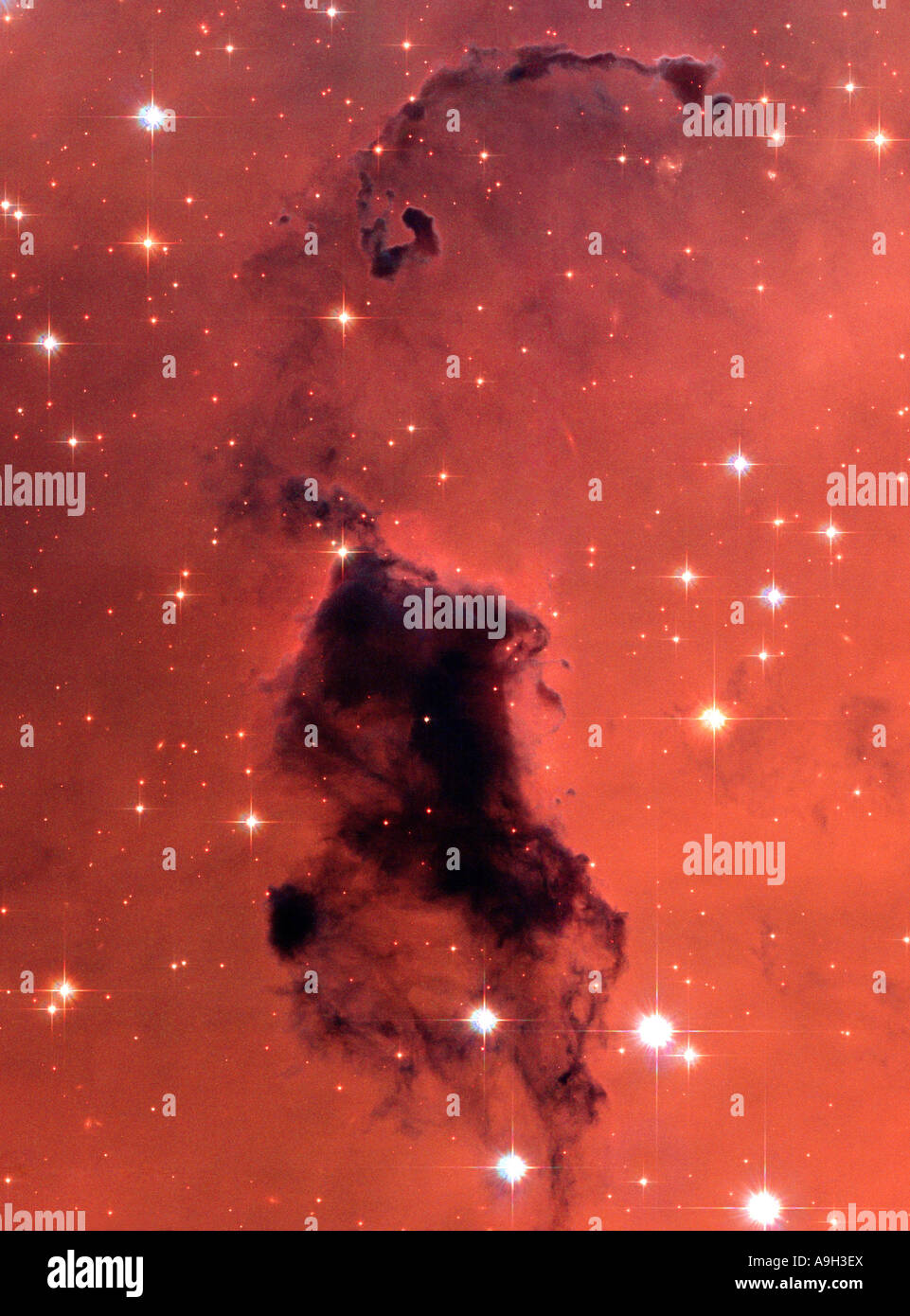 Nearby Dust Clouds in the Milky Way from the Hubble Space Telescope