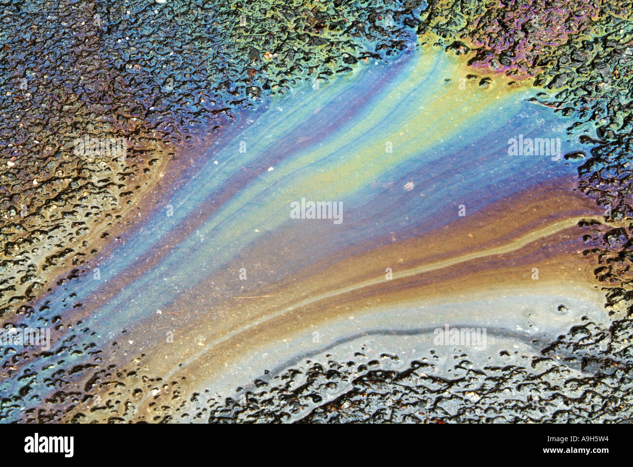 oil spill on asphalt, spectral colours Stock Photo