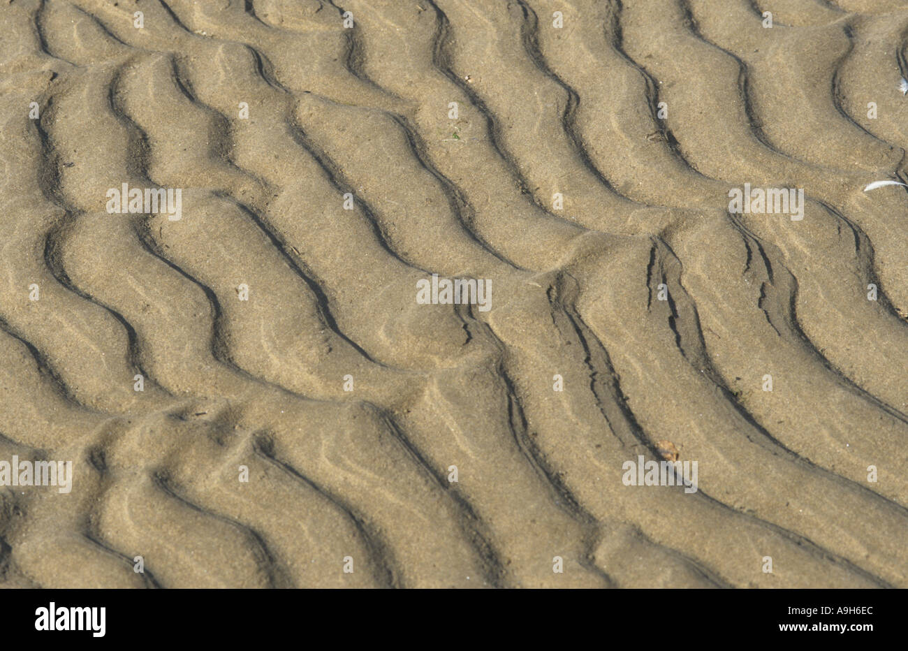 Sand Patterns Patterns left behind by sea beach Lytham St Annes Stock Photo