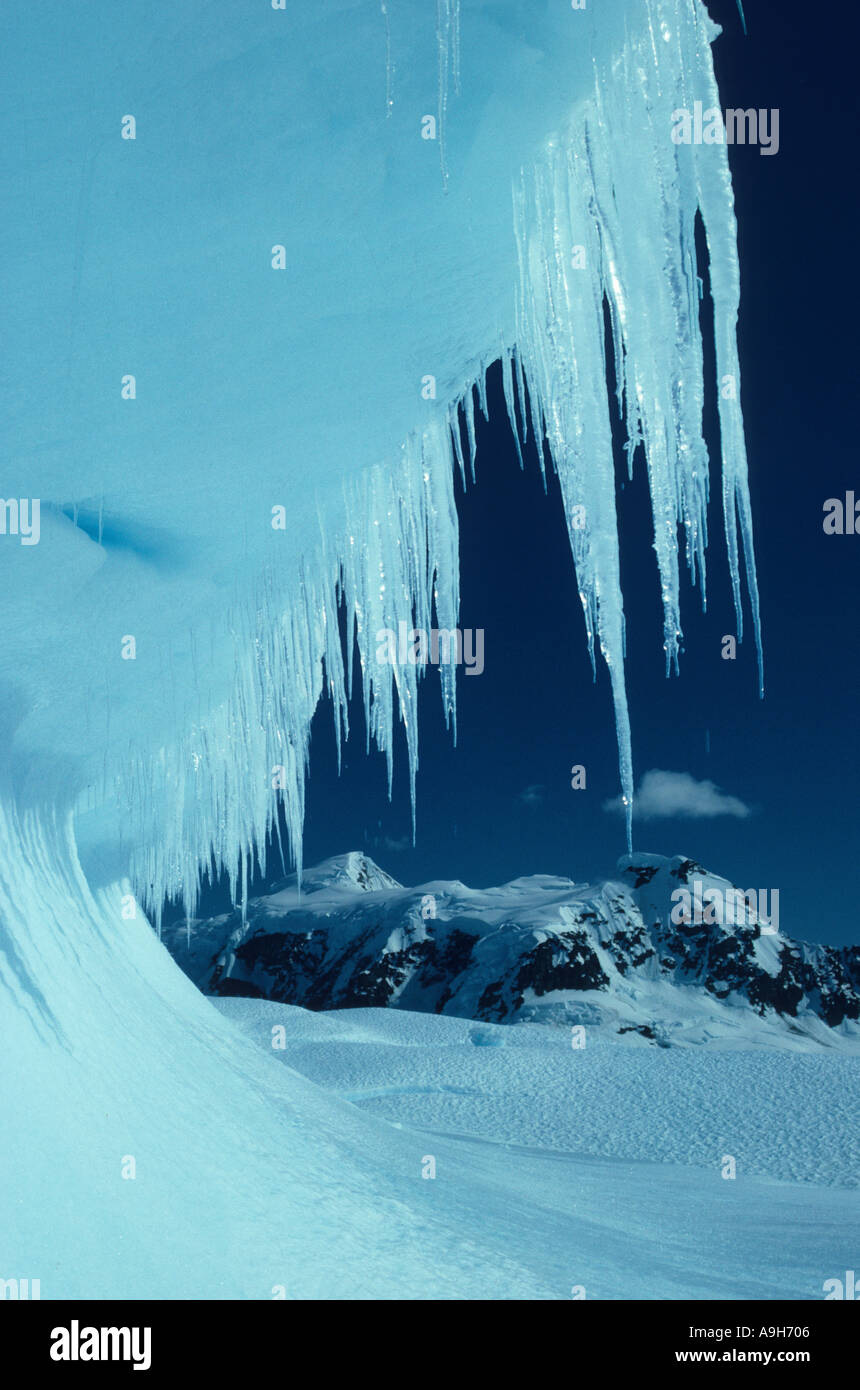 Antarctic Icicles Stock Photo