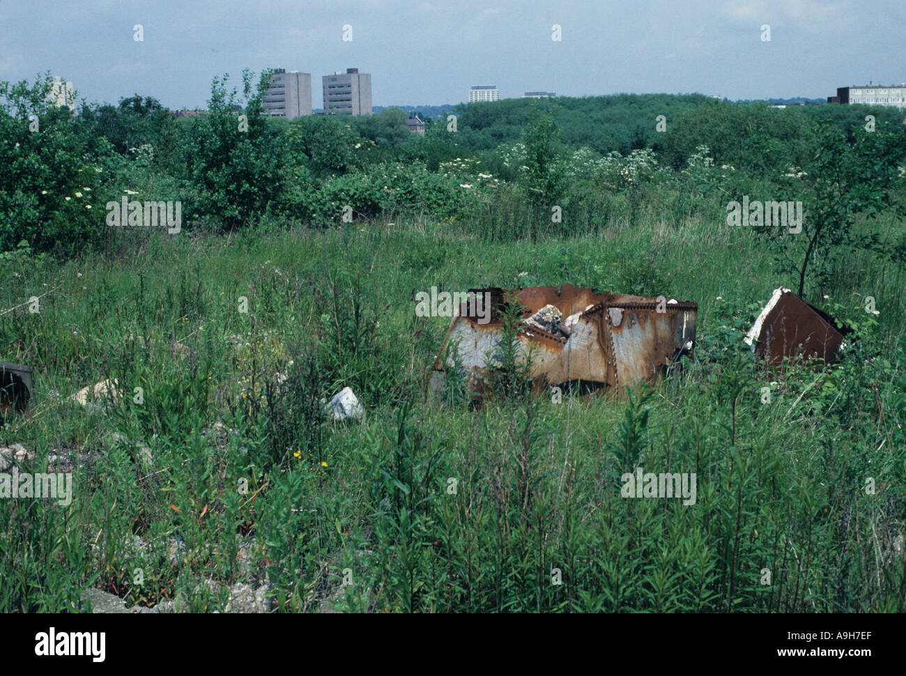 Habitat Regeneration Rubbish dump colonised by vegetation Nr Brent Res Greater London Stock Photo