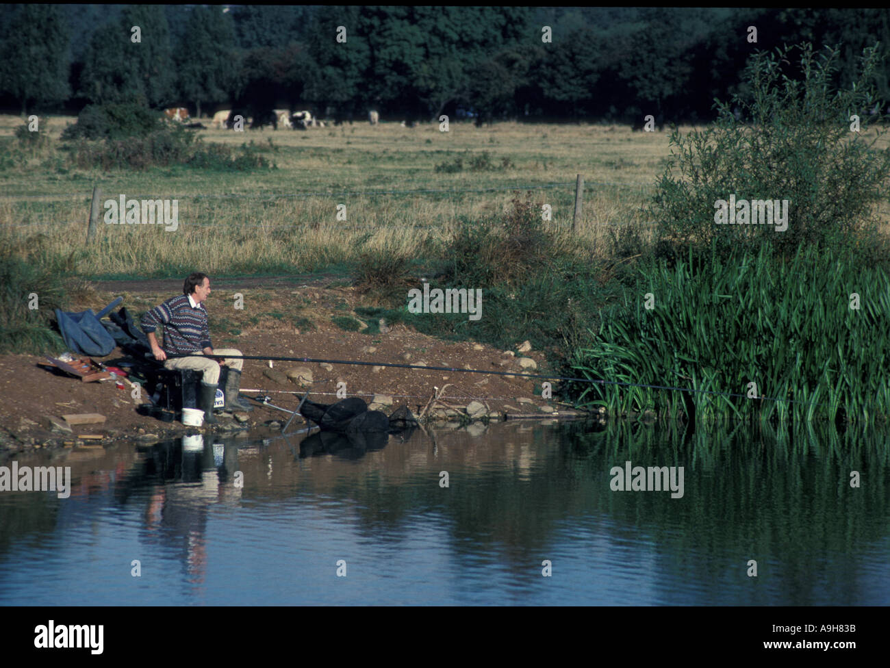 Angling Course fishing in gravel pit Stock Photo - Alamy