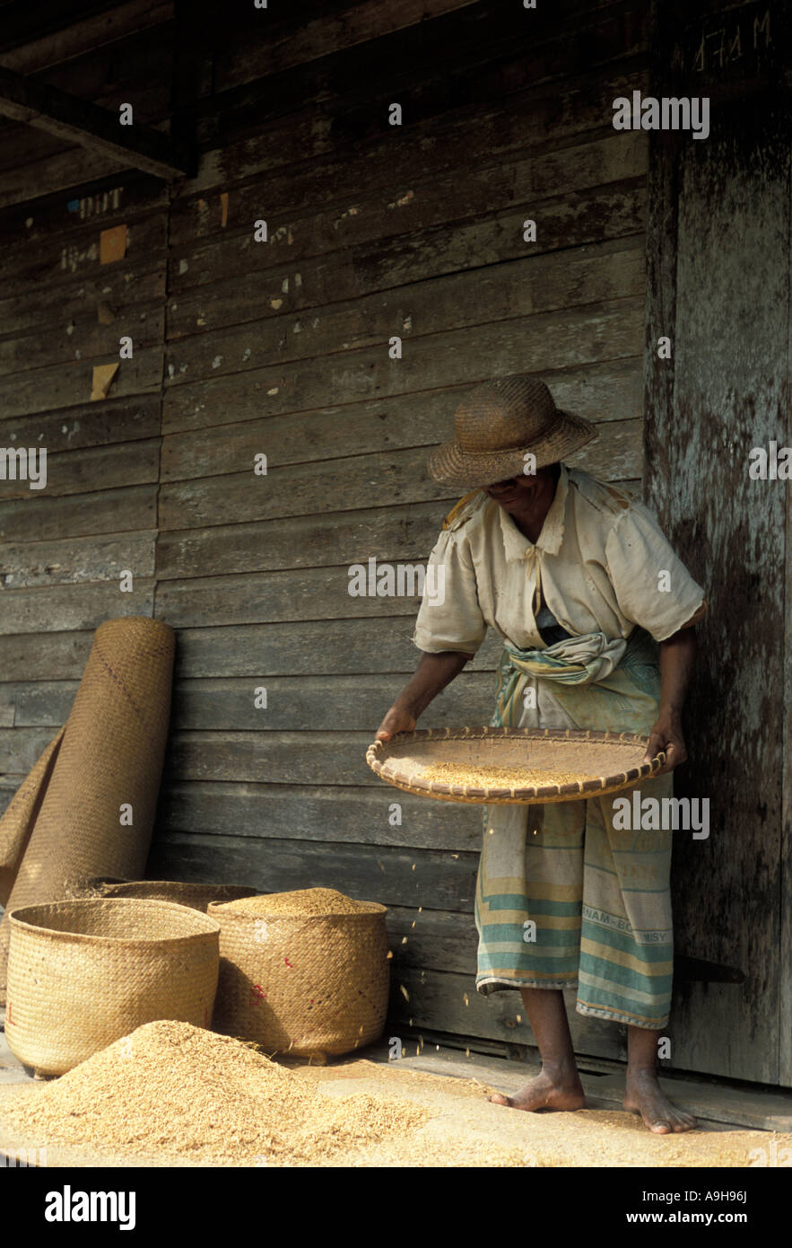 An African woman on the northeast coast of Madagascar sifting rice in front of her home 2001 Stock Photo