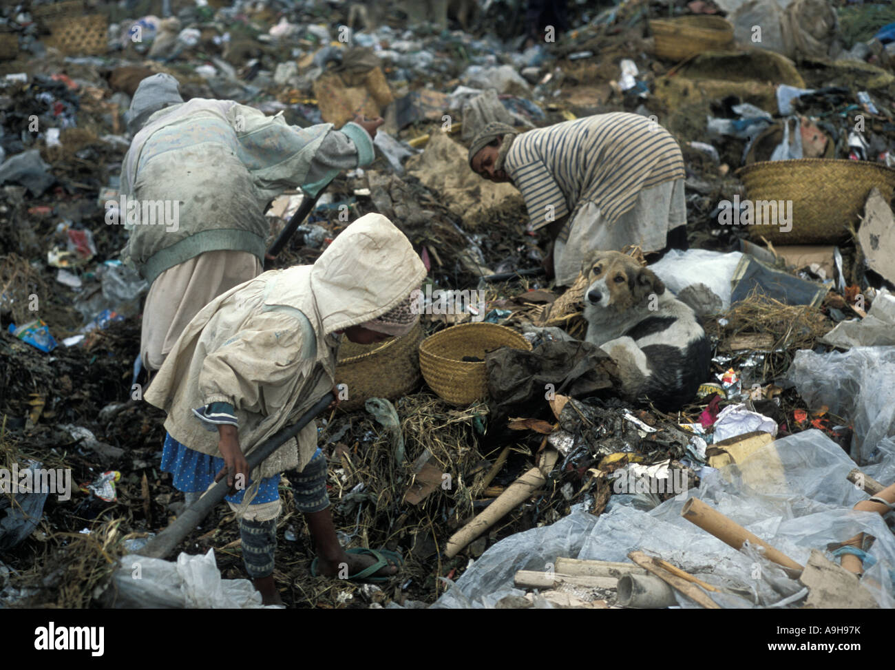 At the outside of Antananarivo Madagascar on a hill overlooking the city entire families scavenge the dump Stock Photo
