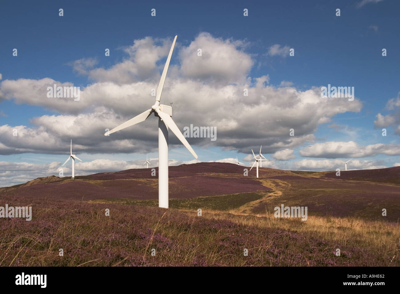 Wind power turbines producing electricity for part of Cumbria at Kirkby Moor Wind Farm, England, UK Stock Photo