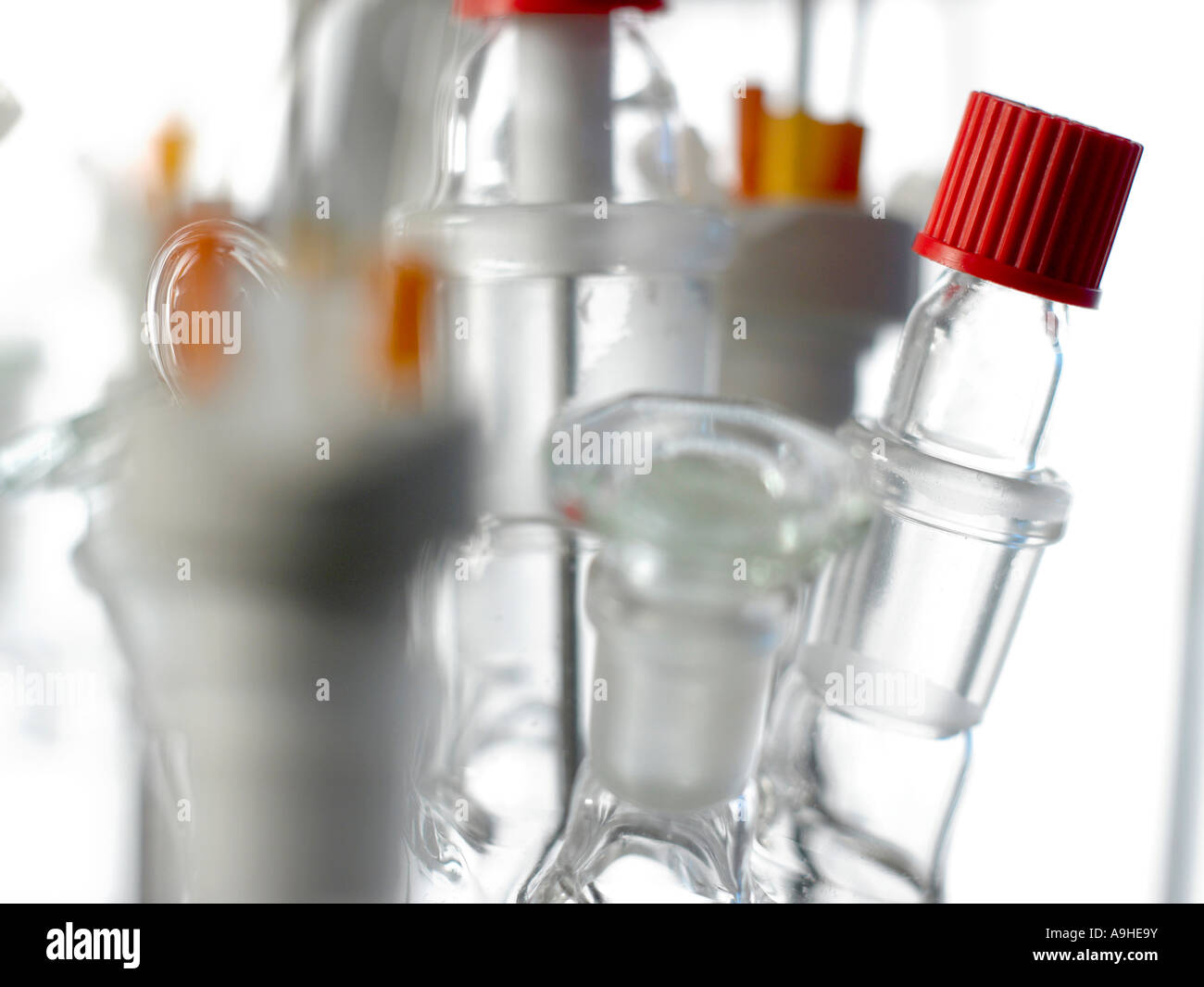 glass laboratory vials Stock Photo Alamy