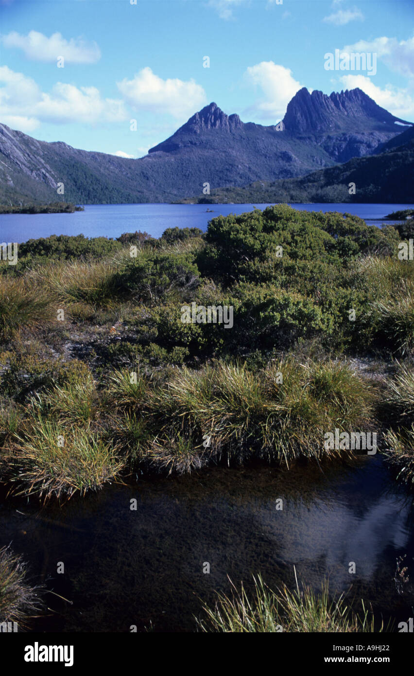 Cradle Mountain in Tasmania, Australia Stock Photo Alamy