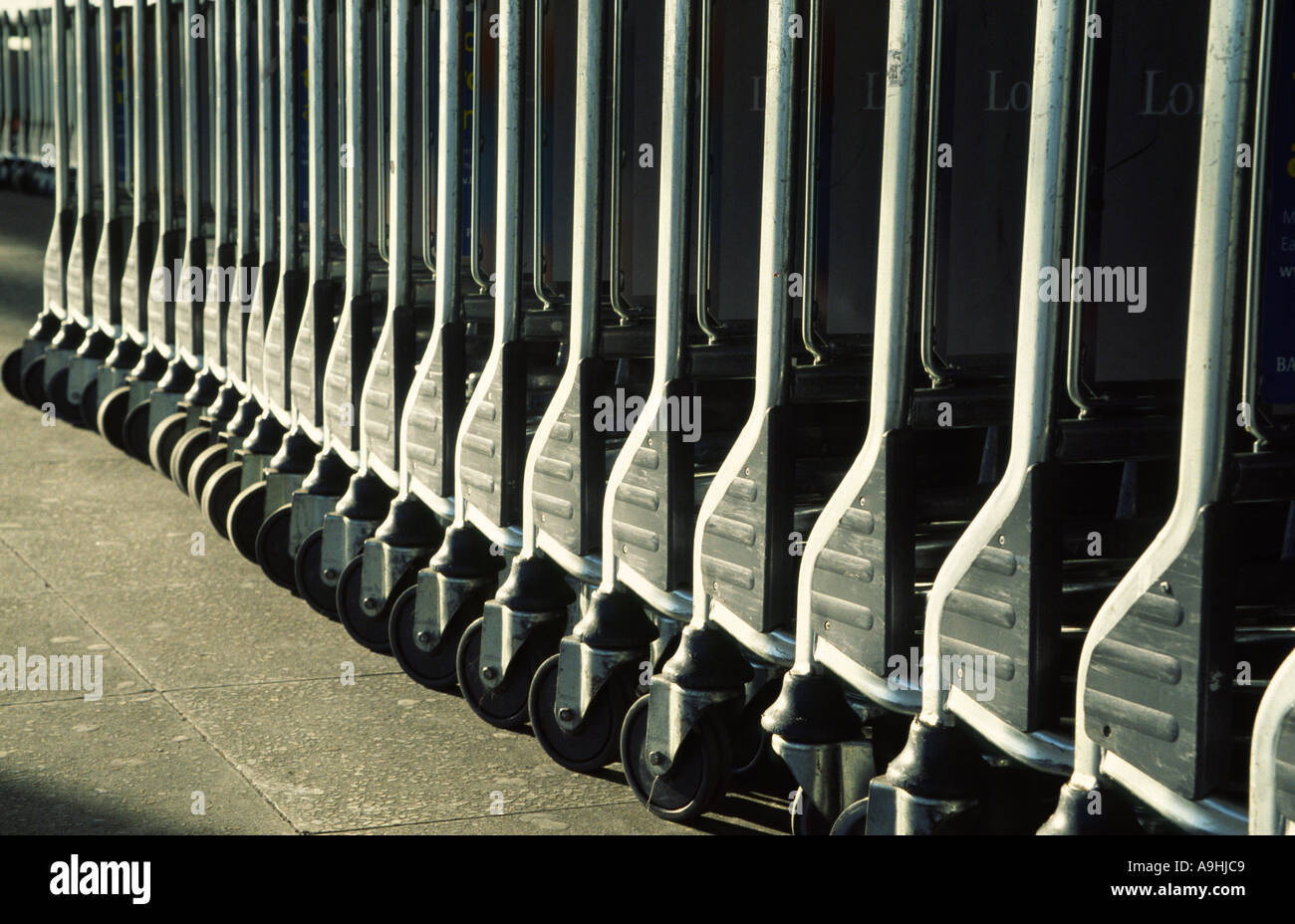 Luggage trolleys outside Stansted Airport Essex England Stock Photo Alamy