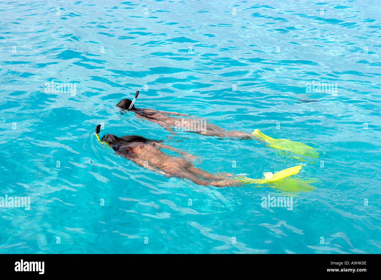 Women snorkeling at Playa Azul Cozumel Mexico Stock Photo Alamy