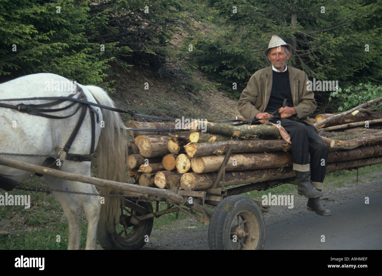 Woodcutter on Horsedrawn Cart Romania Stock Photo