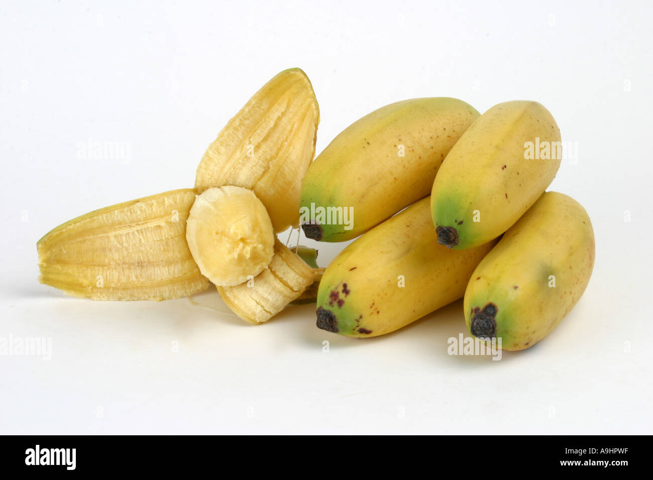 Chinese banana (Musa cavendishii), banana Stock Photo - Alamy