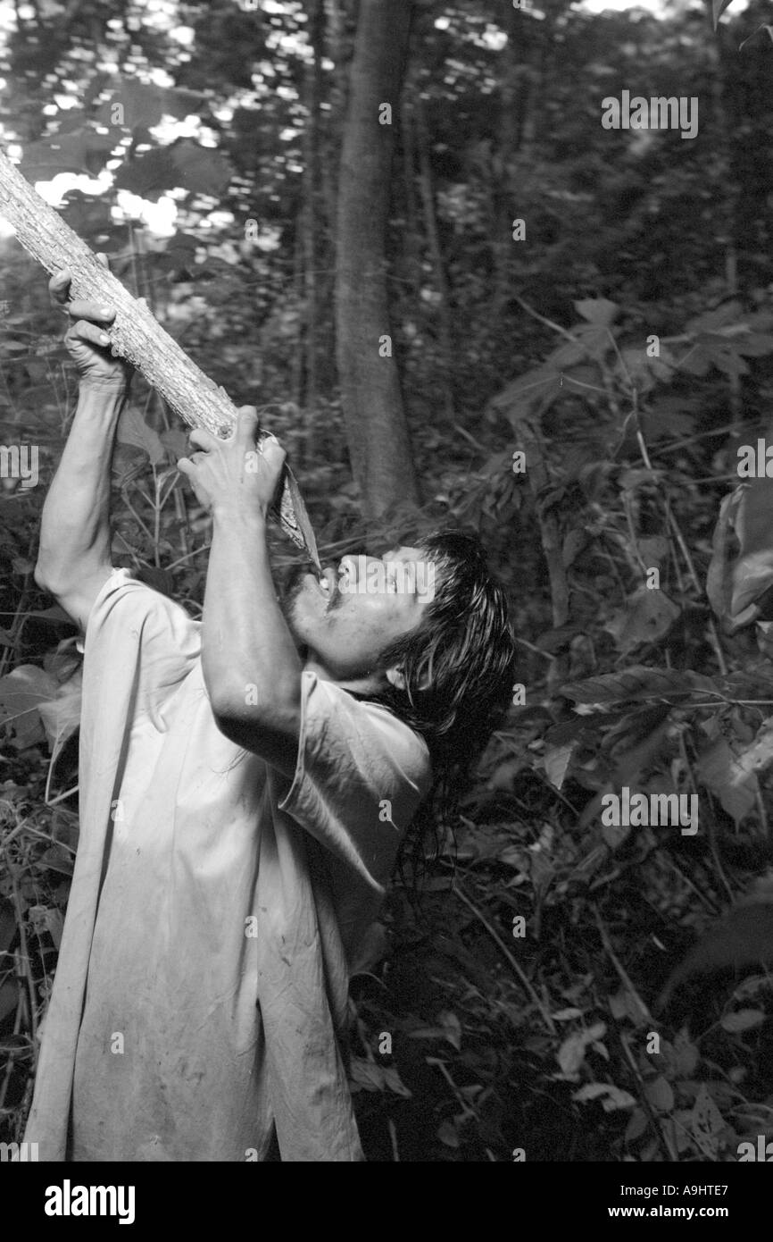 Mexico, Chiapas, Naha, Selva Lacandona, Lacandon Maya jungle guide drinking fresh water from a bejuco Stock Photo