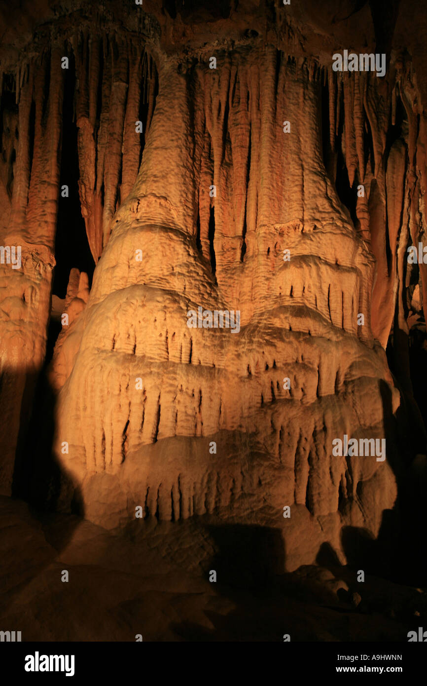 The "Cathedral" of Florida Caverns State Park, Marianna, Panhandle