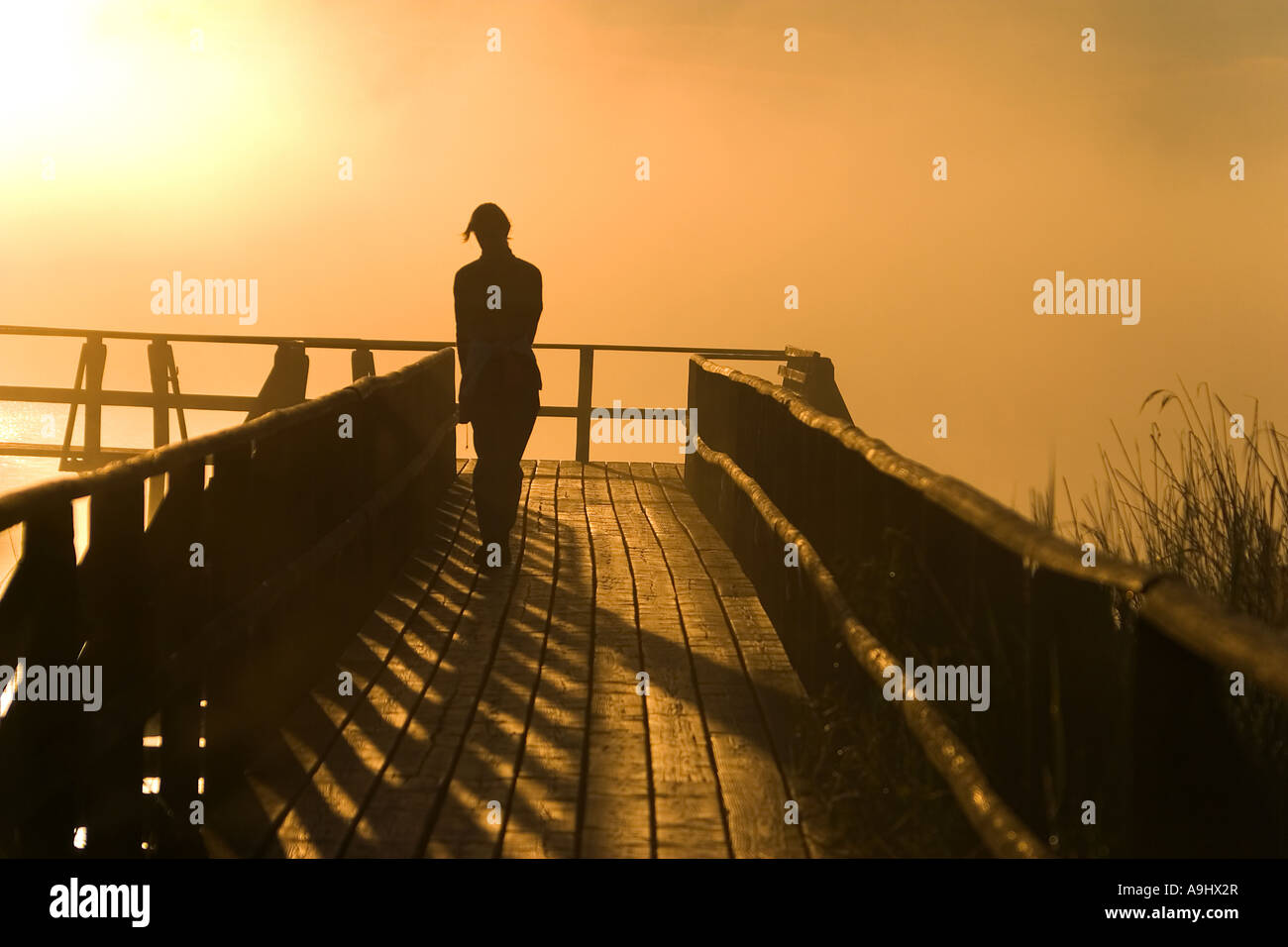 Promenader at sunrise on the footbridge, Feder Lake, Baden-Wuerttemberg, Germany Stock Photo