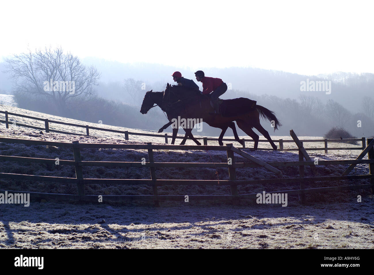 two horses with jockeys are racing in Cotswolds, UK Stock Photo