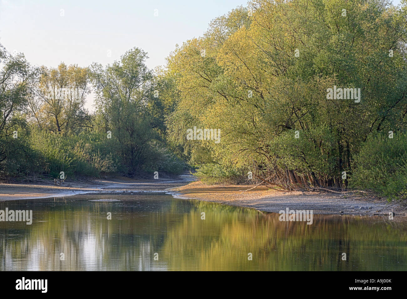 Danube backwater, Lower Bavaria, Germany Stock Photo