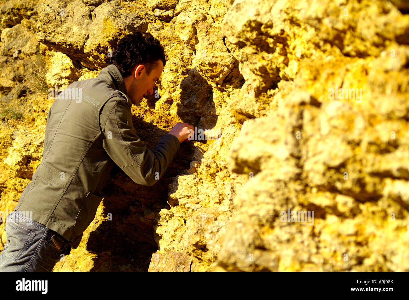 archaeologist looking for fossils Stock Photo Alamy