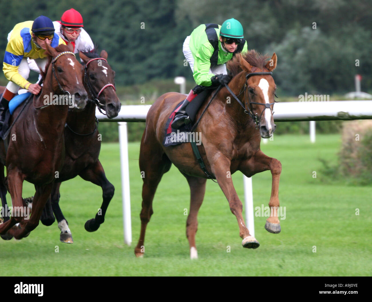 Racehorse toward finish Stock Photo Alamy