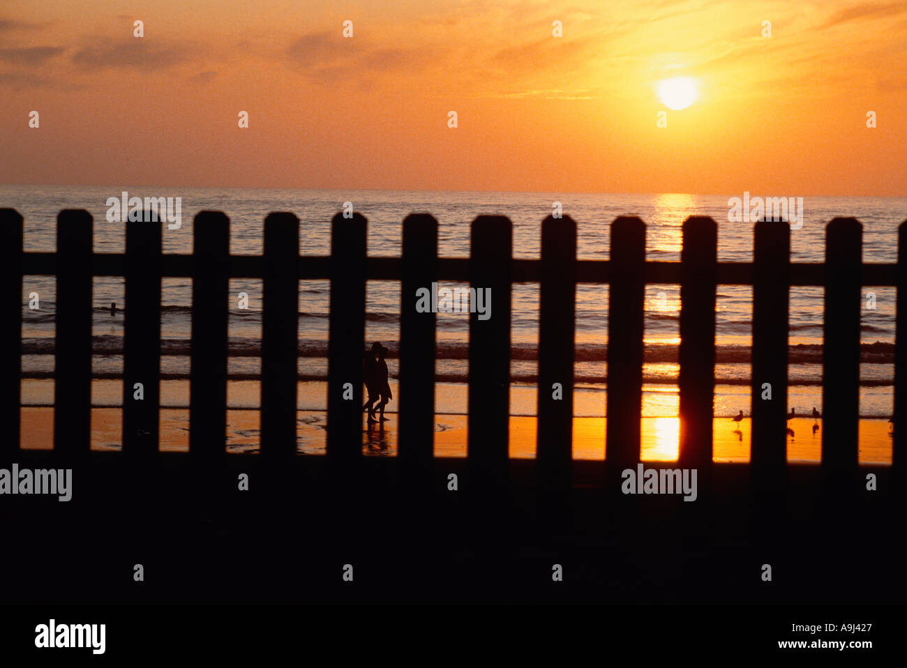 a white picket fence and the beach at sunset  Stock Photo