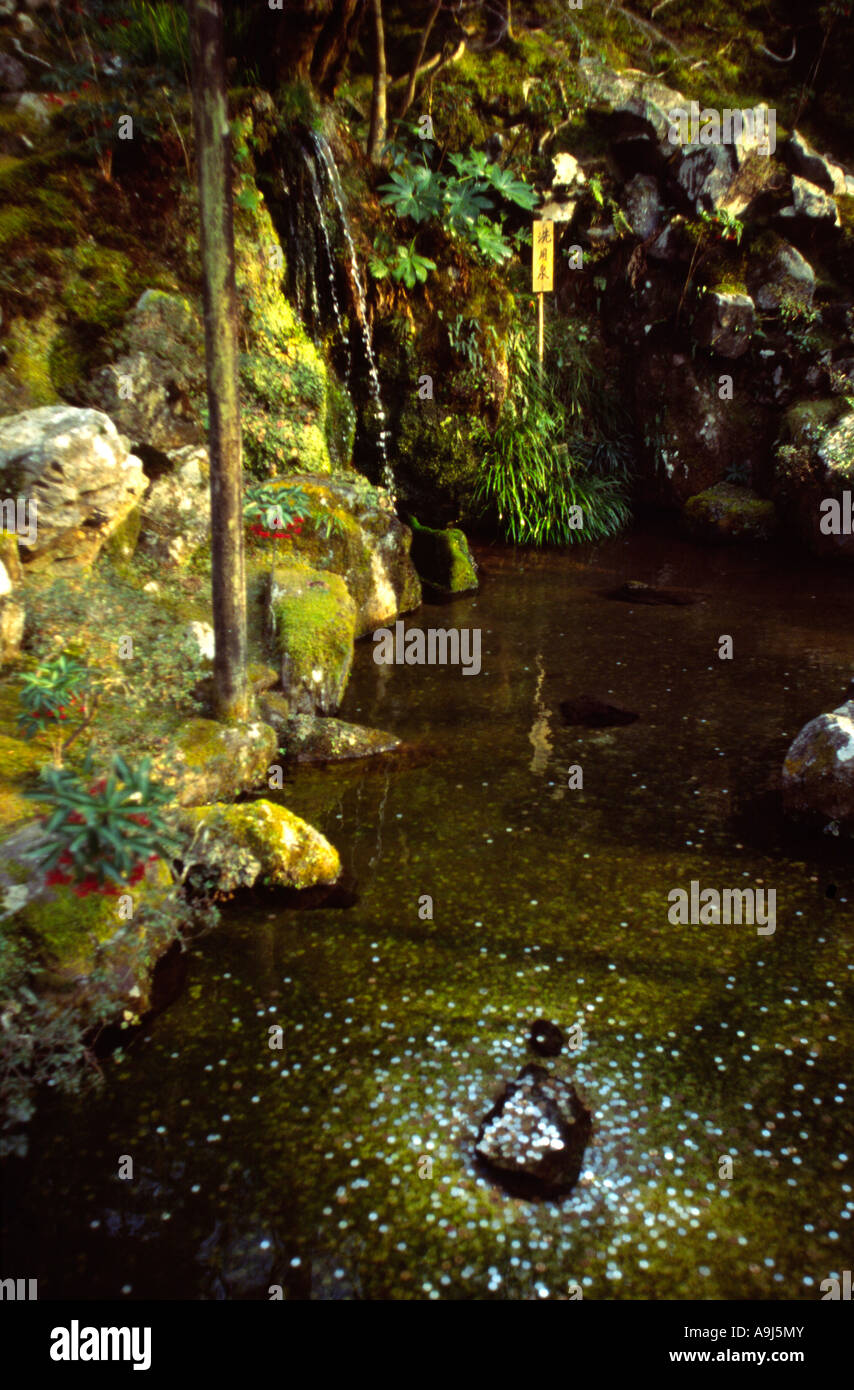 Japanese Reflection Pool Reflections in a pool at the Ginkakuji Temple in Kyoto Japan Stock ...