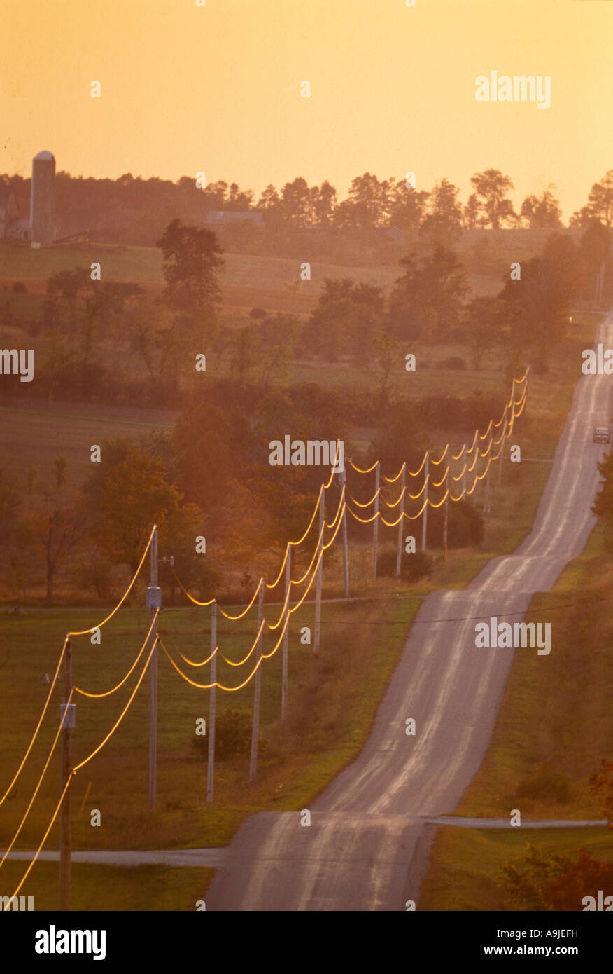 long winding hill hilly rural road Canada warm warmth telephone poles