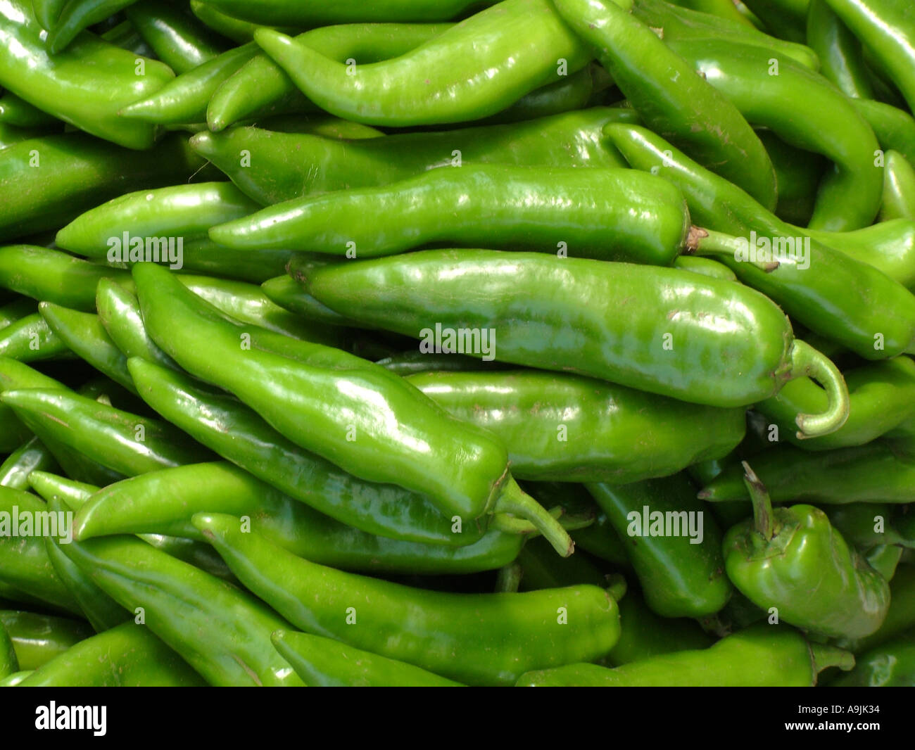 ANG99103 Spices Green chili chilli chillie chilly pepper pungent hot fresh full frame suitable for doublespread background Stock Photo