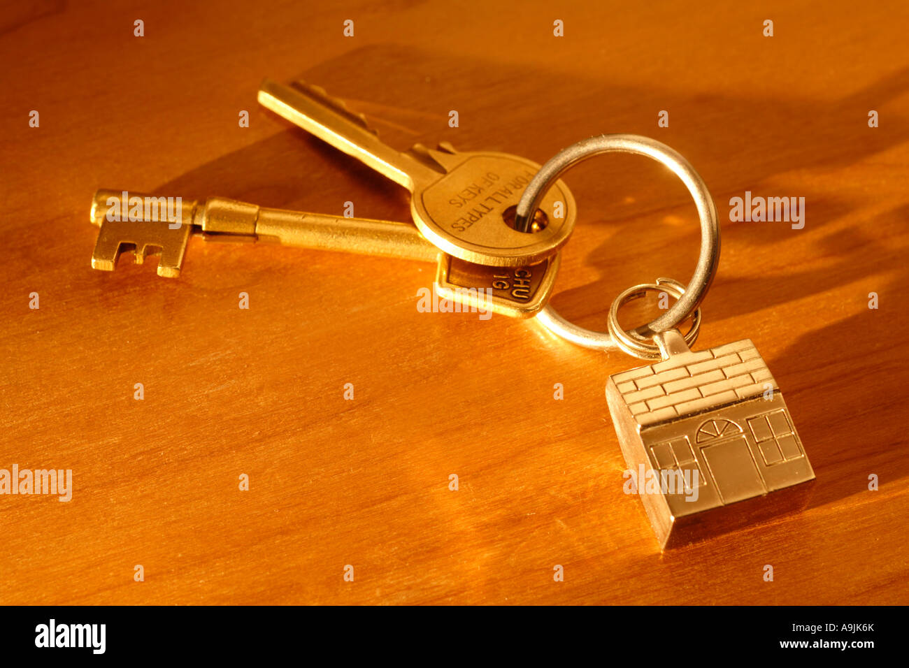 House keys on key shaped keyring Stock Photo Alamy