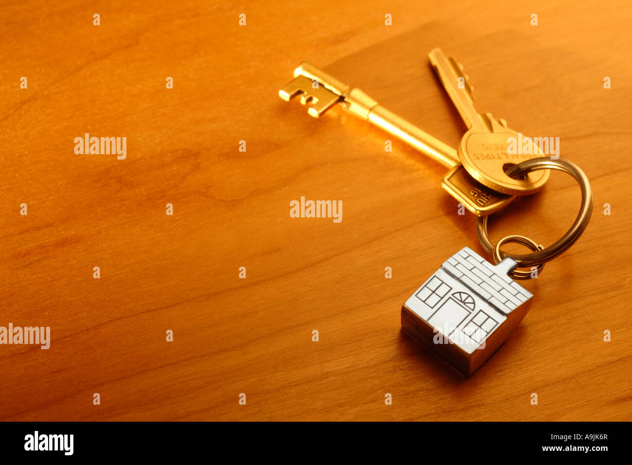 House keys on key shaped keyring Stock Photo Alamy