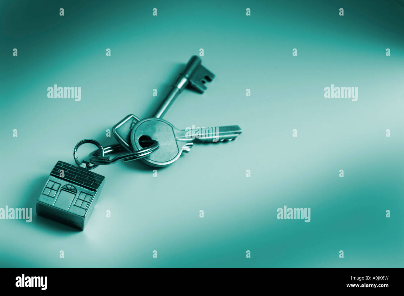 House keys on key shaped keyring Stock Photo Alamy