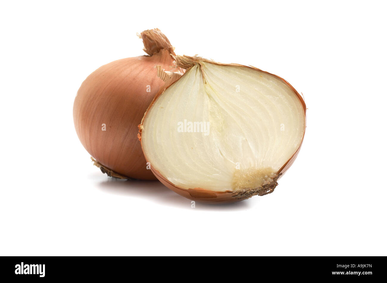White Onions one cut in half Stock Photo