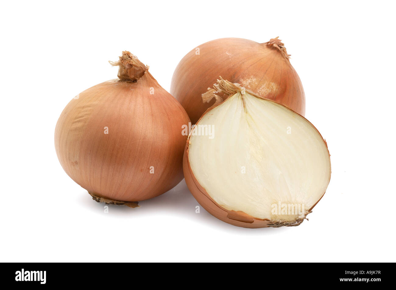 White Onions one cut in half Stock Photo