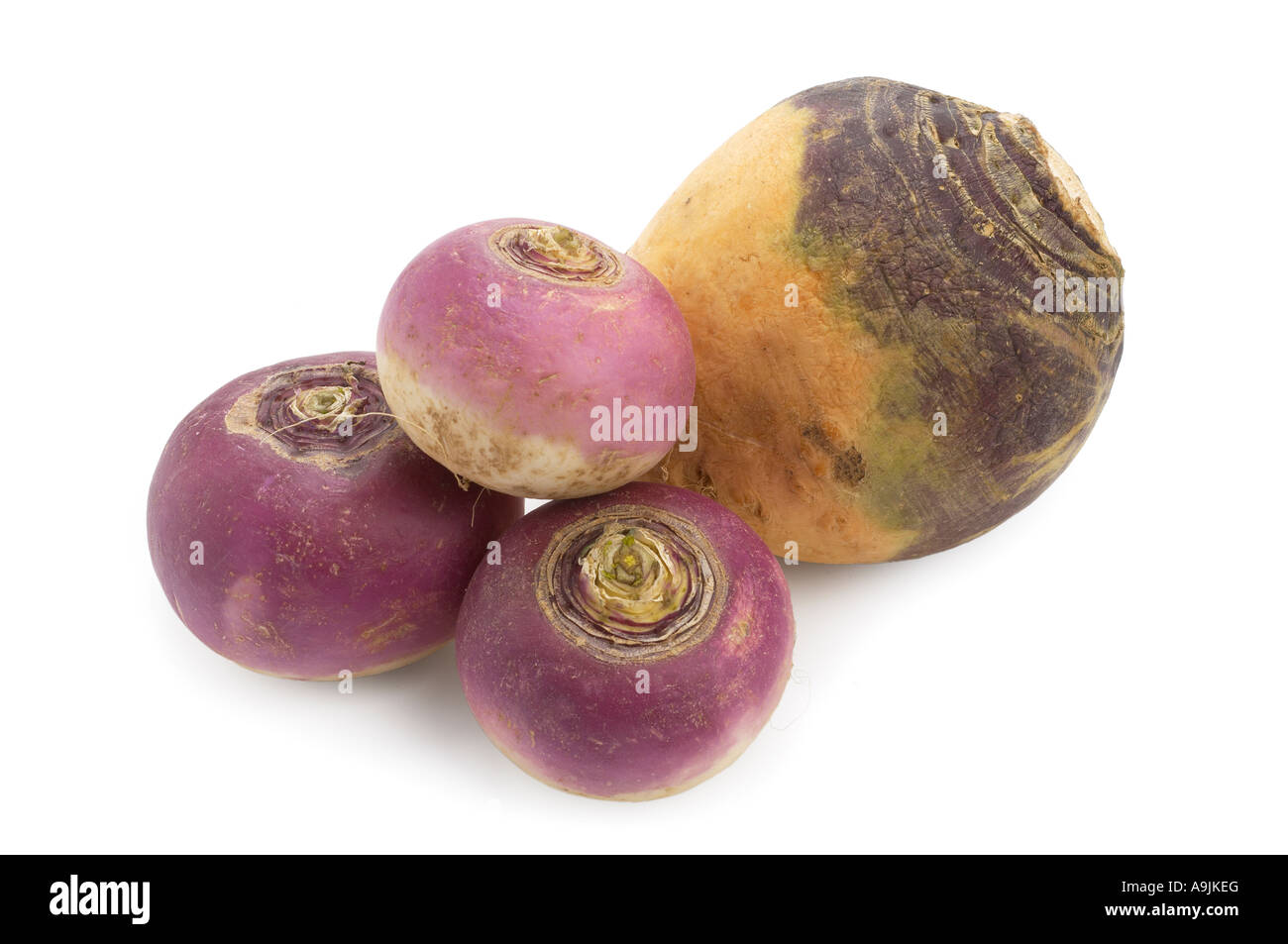 Turnips and swede Stock Photo Alamy