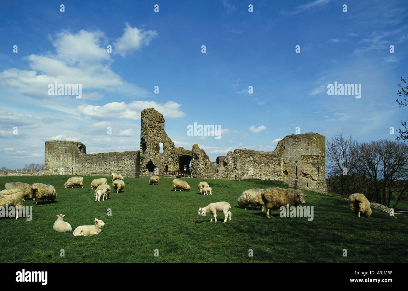 Pevensey castle norman hi-res stock photography and images - Alamy