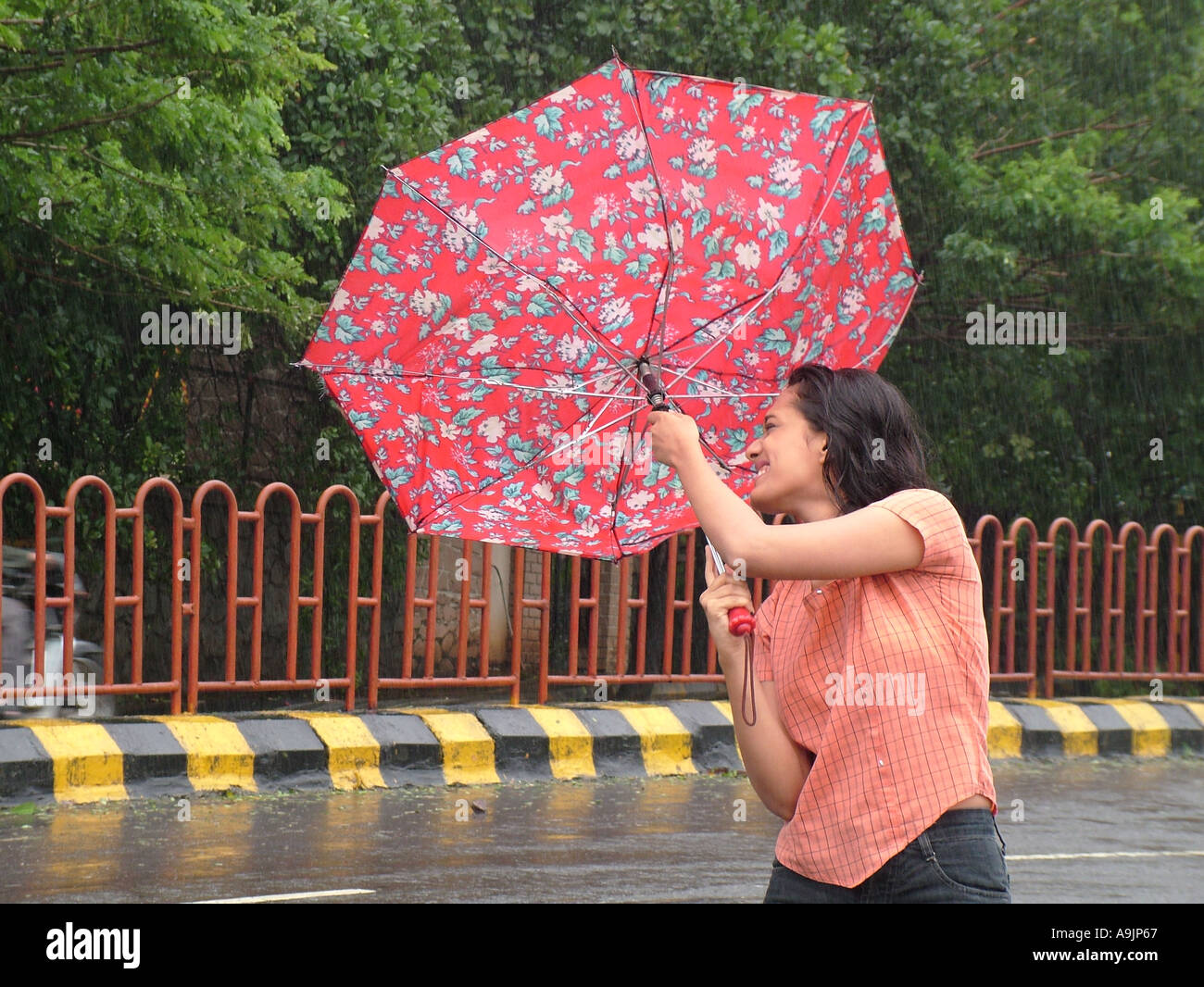 Wind blowing umbrella of woman in monsoon MR570 Stock Photo Alamy