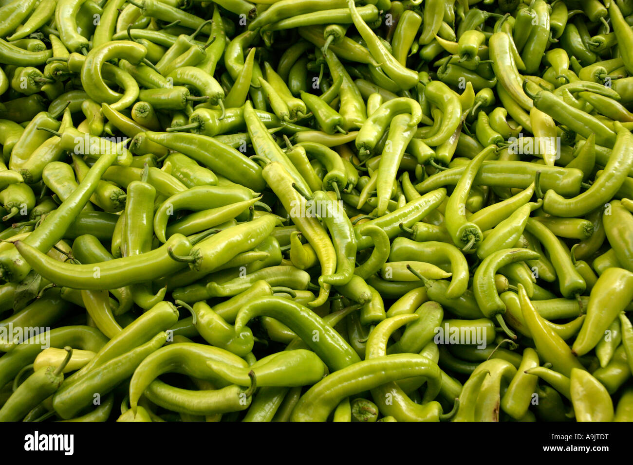 Green chilli peppers for sale in a market in Turkey Stock Photo