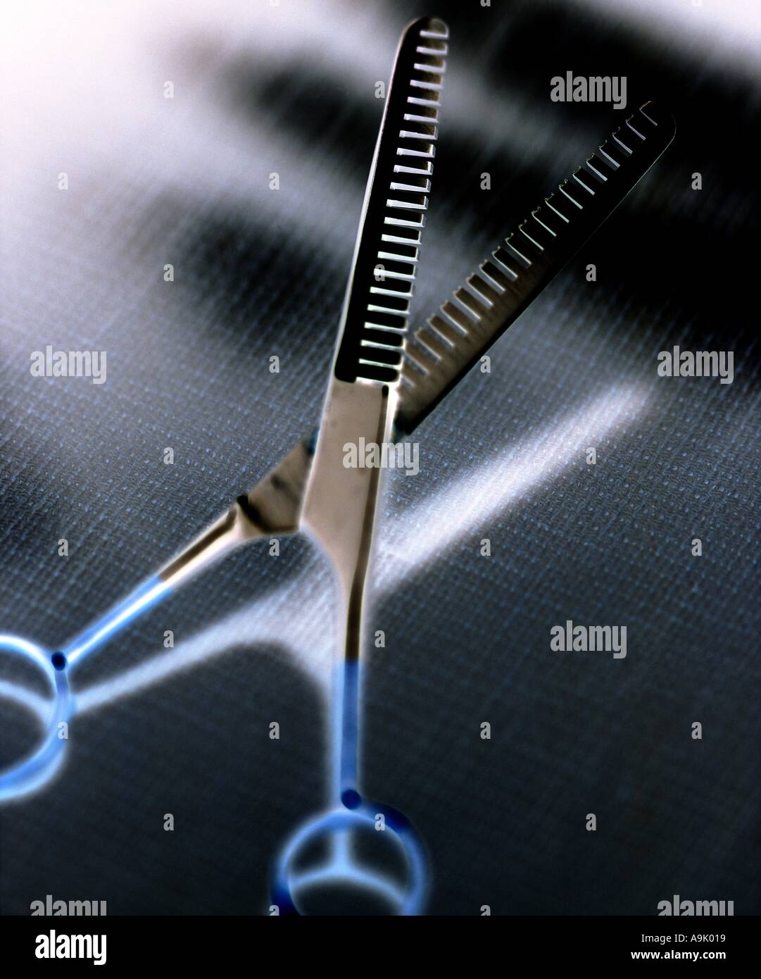 Life Objects Stock Photo Alamy