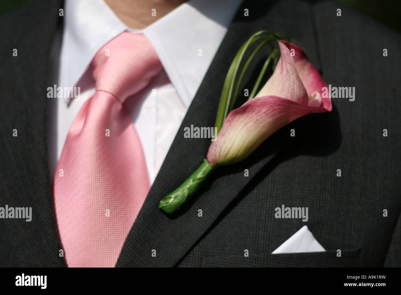 close up of grooms wedding suit Stock Photo - Alamy